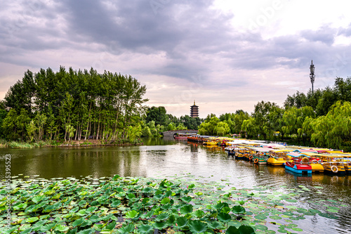 The scenery of the North Lake National Wetland Park in Changchun, China with lotus in full bloom
