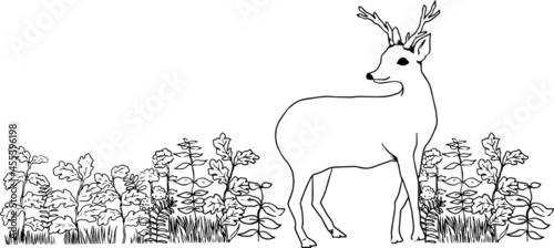野草が生い茂る森の中にいる鹿のイラスト