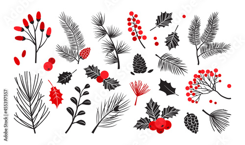 Christmas vector plants, holly winter decor, christmas tree, pine, leaves branches, holiday set isolated on white background. Red and black colors. Vintage nature illustration