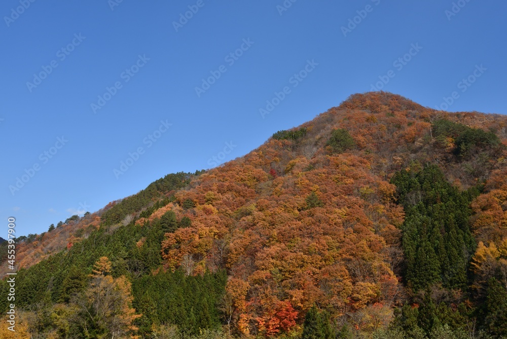 Mountains covered with red trees in autumn