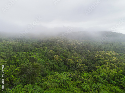 Aerial view forest tree environment nature background, mist on green forest top view foggy landscape the hill from above, pine and forest mountain background © Bigc Studio