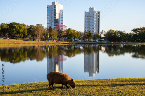 buildings with lake reflection in Mato Grosso do Sul