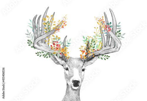 Deer sketch, antlers with flowers leaves and berries, decorated antlers for Christmas or autumn fall season, hand drawn woodland animal in floral wall art print,  photo
