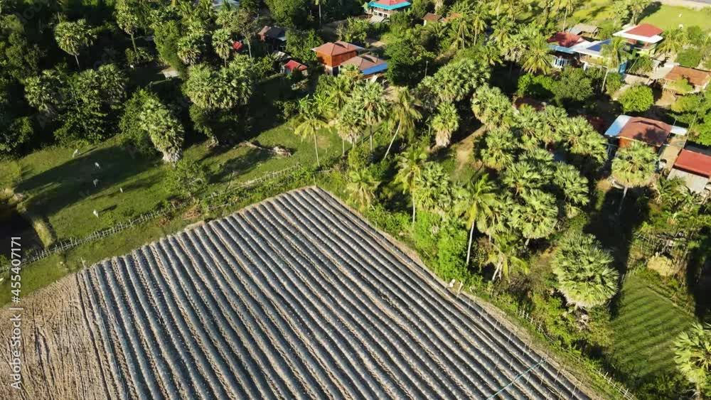 Flight over the rice fields in Kampong Chhnang province, beautiful green colors and interesting patterns from the sky, Cambodia part 2 of 5 Flight over the rice fields in Kampong Chhnang province, beautiful green colors and interesting patterns from the sky, Cambodia part 2 of 5