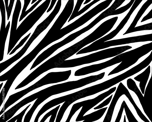 draw zebra black and white pattern.vector eps10