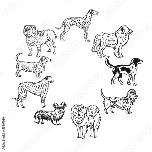 Dogs breeds collection. Vintage style sketch for your design