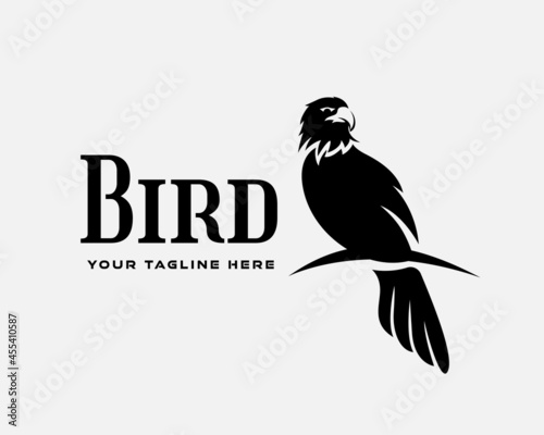 silhouette black eagle hawk falcon perch logo template illustration inspiration