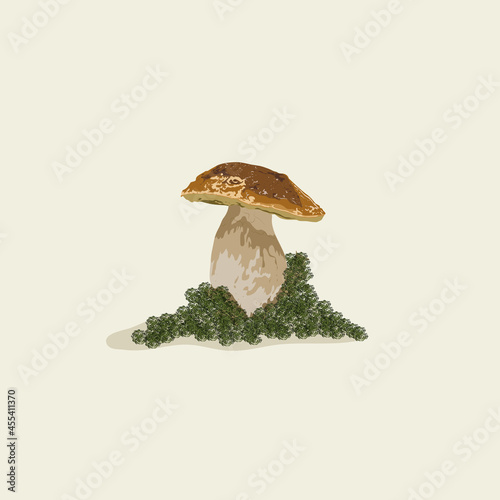white mushroom in the moss