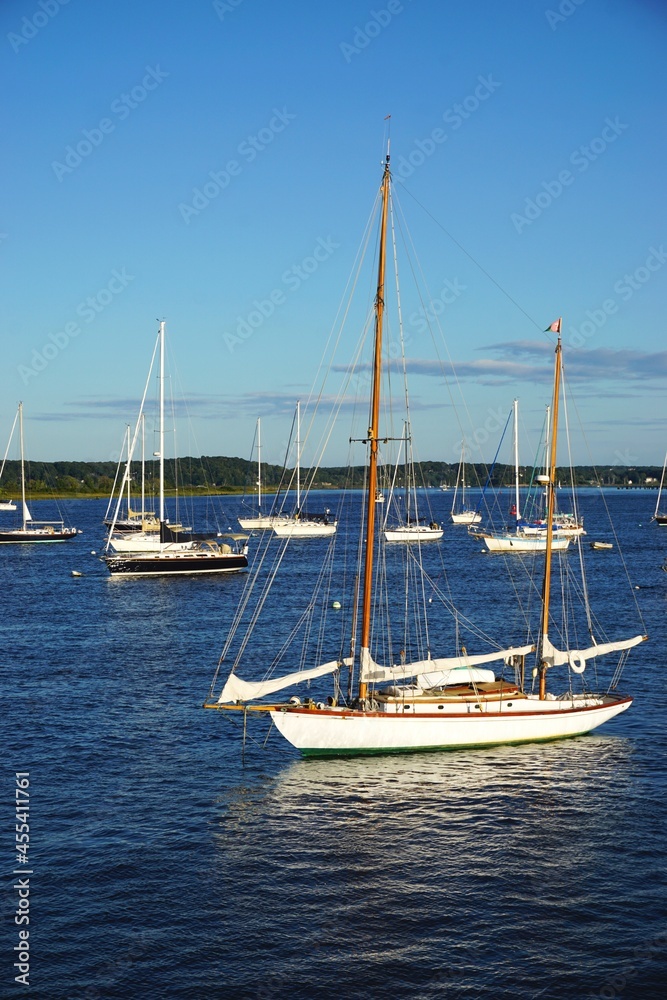 Sleek white sailboats moored in a quiet harbor under blue skies on a sunny day