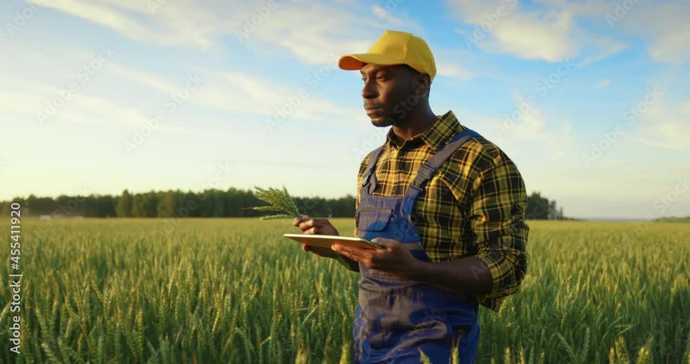 Agronomist is using technology tablet for check and control the sprouts of a fields Concept: innovation, technology, agriculture tech, career people Agronomist is using technology tablet for check and control the sprouts of a fields Concept: innovation, technology, agriculture tech, career people