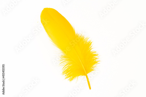 Yellow feather on white background
