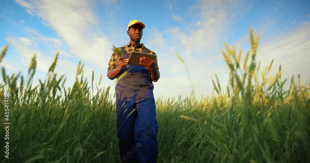 Agronomist is using technology tablet for check and control the sprouts of a fields Concept: innovation, technology, agriculture tech, career people Agronomist is using technology tablet for check and control the sprouts of a fields Concept: innovation, technology, agriculture tech, career people