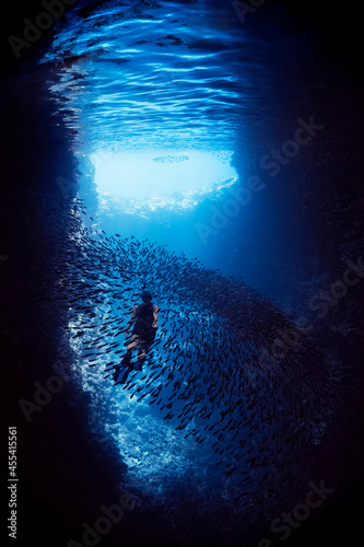 Free Diver Swimming In A Cave with a School of Fish © Craig Lambert Photo