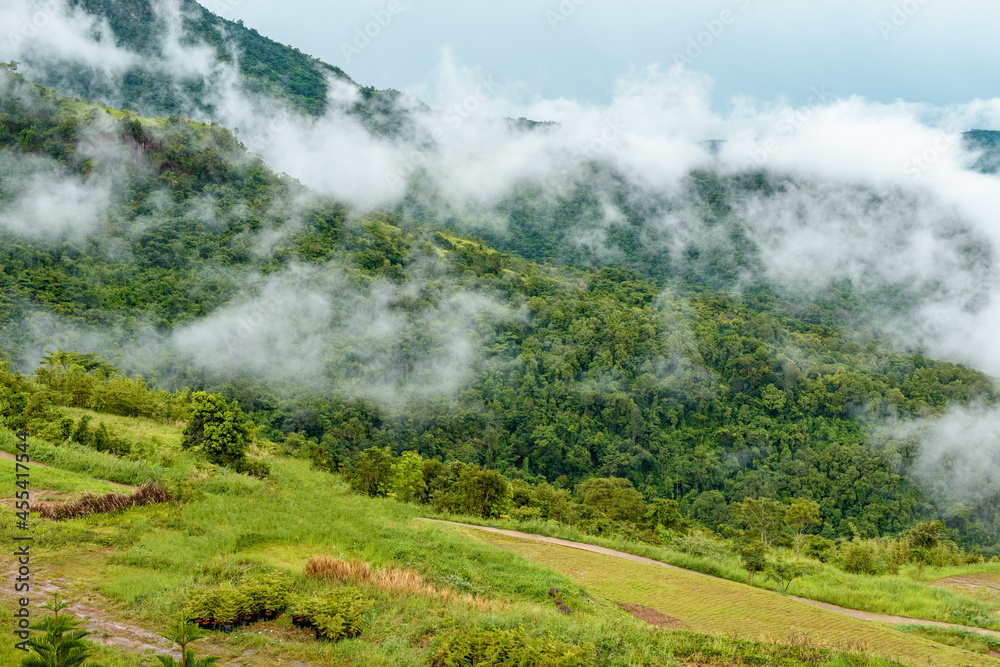 mountains with clouds in a tropical forest mountains with clouds in a tropical forest