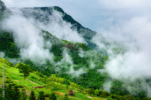 mountains with clouds in a tropical forest