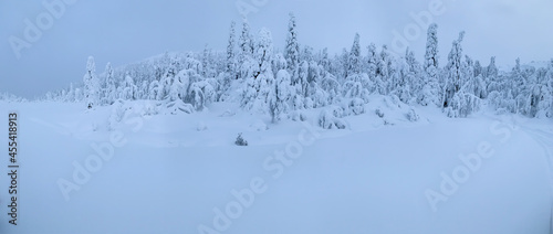 Wide panorama of frozen snow-covered tundra in Arctic with nobody © Savour_of_day