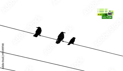 Birds on wires. Vector illustration