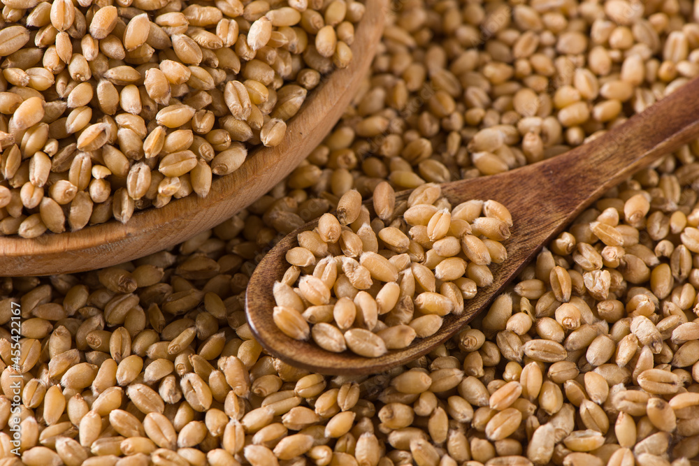 wheat grain in wooden spoon background