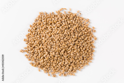 wheat grain isolated on white background