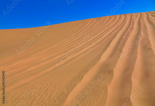 Jeep tire marks. The Namib Desert on the Atlantic coast.