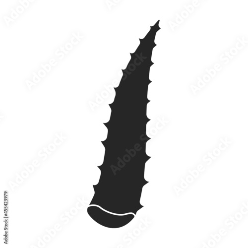 Aloe vera vector icon.Black vector icon isolated on white background aloe vera.