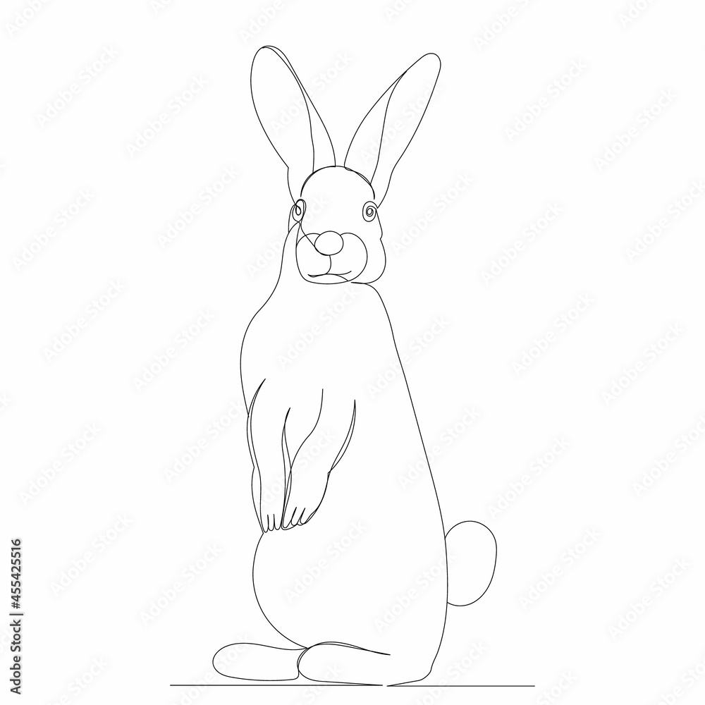 one continuous line drawing bird rabbit one continuous line drawing bird rabbit