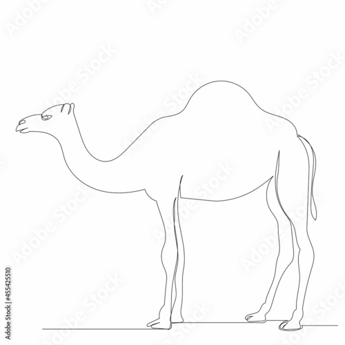 single continuous line drawing camel