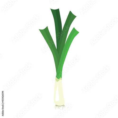 Leek or pearl is a biennial herbaceous plant of the Onion subfamily. A tasty and healthy plant that is eaten. Vector illustration isolated on a white background for design and web.