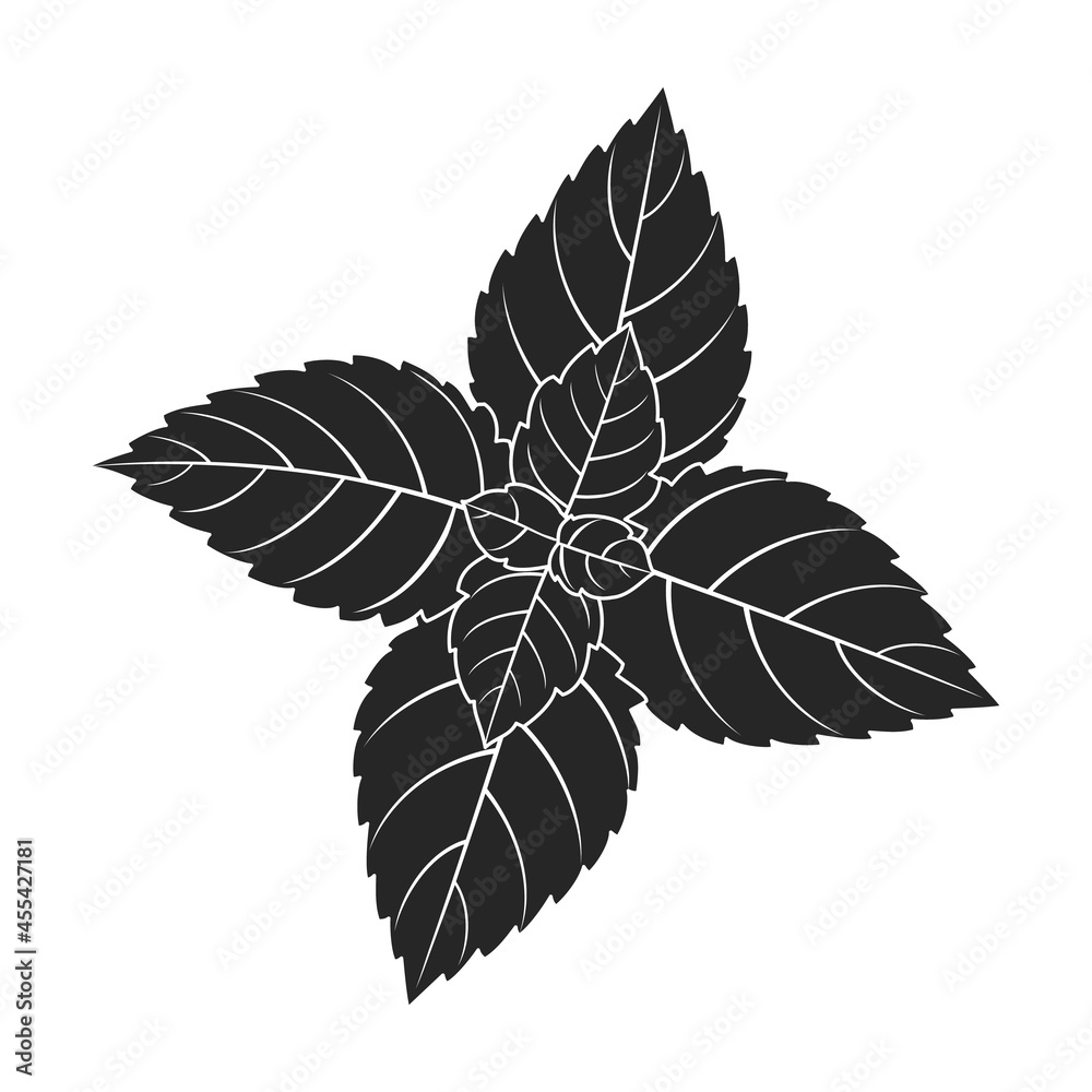 Mint leaf black vector icon.Black vector illustration fresh peppermint. Isolated illustration of mint leaf icon on white background.
