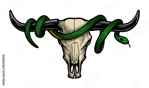 Bull skull and snake. T-shirt print design. Vector illustration.