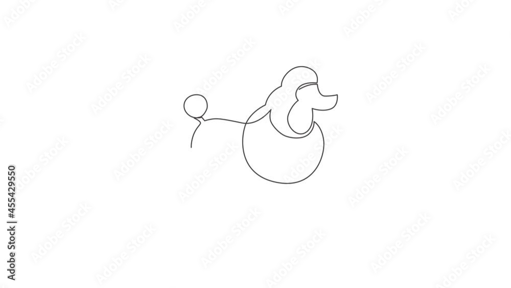 Animated self drawing of single continuous line draw simple cute poodle puppy dog icon. Pet animal logo emblem vector concept. Full length one line animation illustration. Animated self drawing of single continuous line draw simple cute poodle puppy dog icon. Pet animal logo emblem vector concept. Full length one line animation illustration.