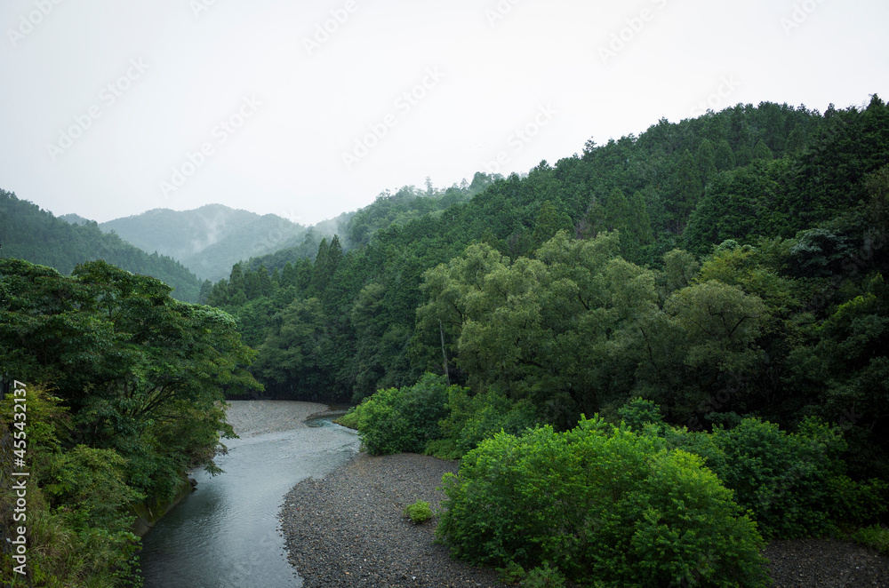 Fototapeta premium 森林と川