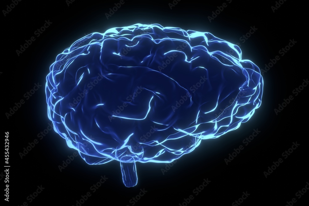 Human brain as x-ray illustration - 3D illustration Human brain as x-ray illustration - 3D illustration