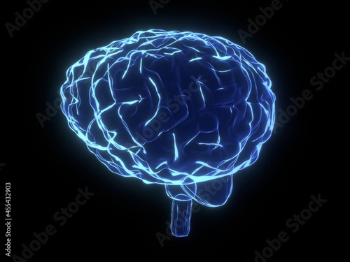 Human brain as x-ray illustration - 3D illustration