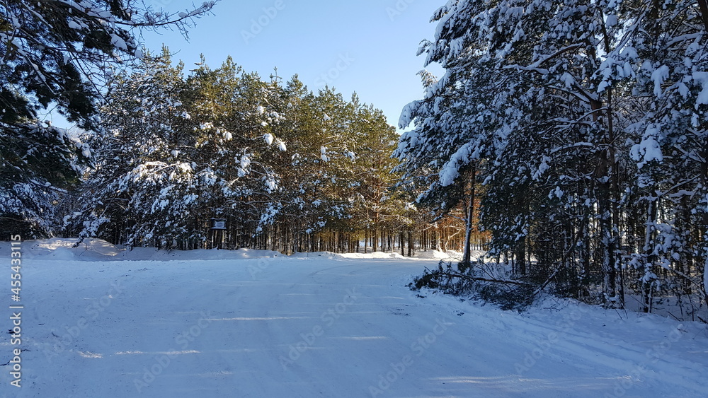 Naklejka premium house in the snow