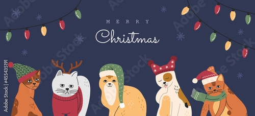 Set of Christmas cats portraits, collection of funny cute kitty in hats and sweaters. Grey kitten with deer horns. Hand drawn vector illustration, New Year banner or card isolated on blue background