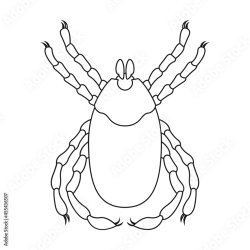Parasites mite vector icon.Outline vector icon isolated on white background mite parasites.