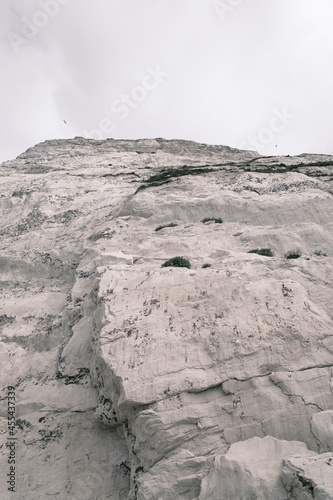 Detail of Jurassic Coast made of Limestone in Dorset, UK