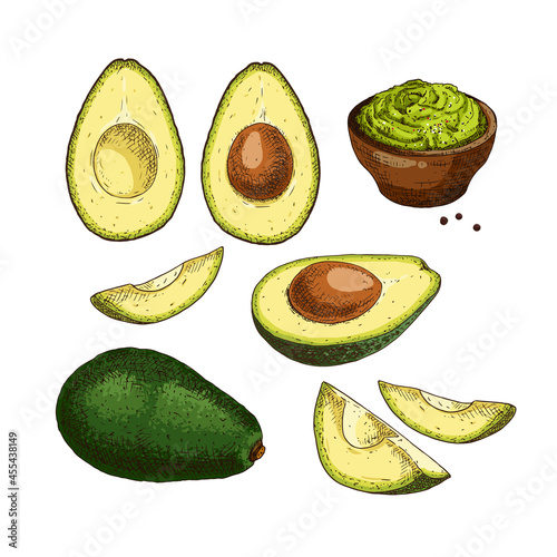 Hand drawn colorful avocado. Set sketches with cut avocado and avocado sauce guacamole. Vector illustration isolated on white background.