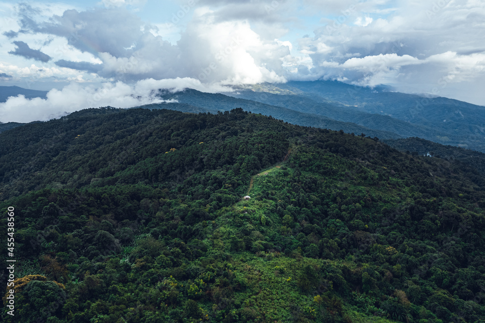 Obraz premium Pine forest in the mountains in the morning from above