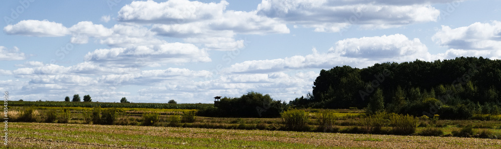 Summer landscape with a meadow, trees, sky and clouds. Summer landscape with a meadow, trees, sky and clouds.
