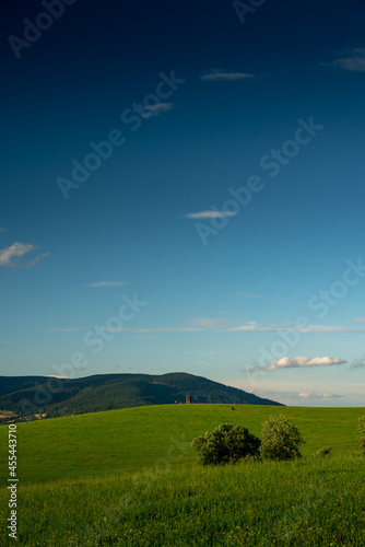 landscape with meadow  blue sky and mountains