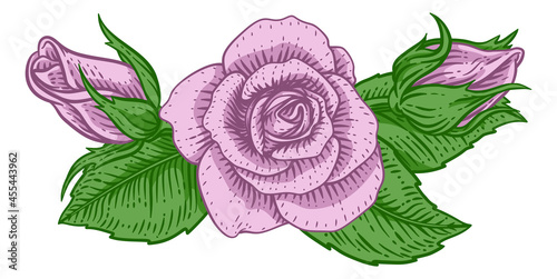 Rose Flower Design Woodcut ...