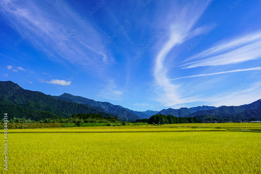 日本有数の米処、新潟県南魚沼市の秋の田園風景
