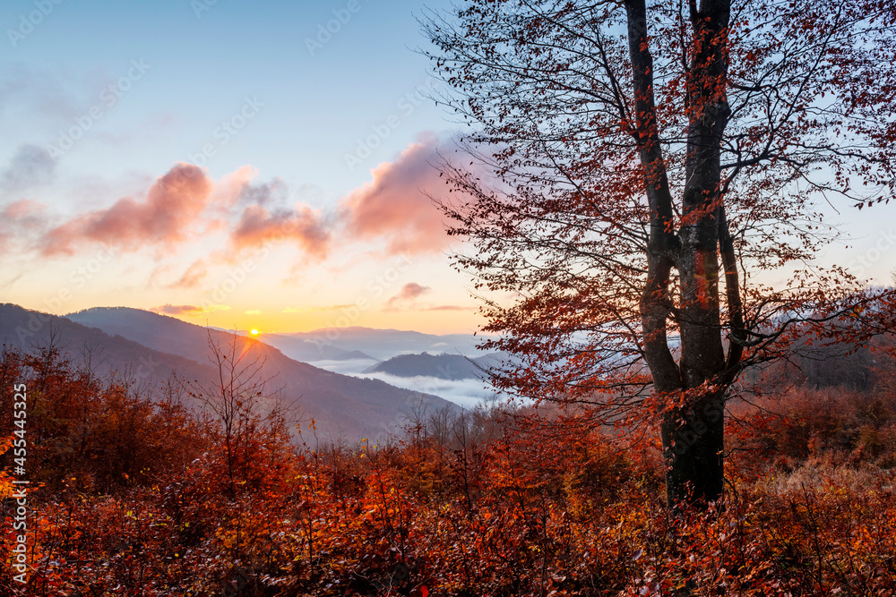 Sunrise in autumn mountains