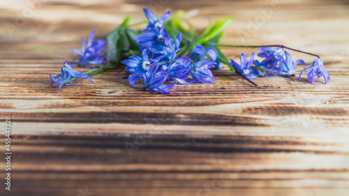 Blue flowers on a simple wooden brown background. Copy Space