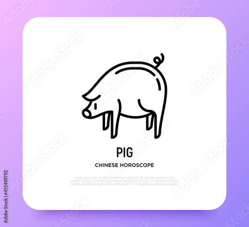 Cartoon pig thin line icon. Modern vector illustration for Chinese horoscope.
