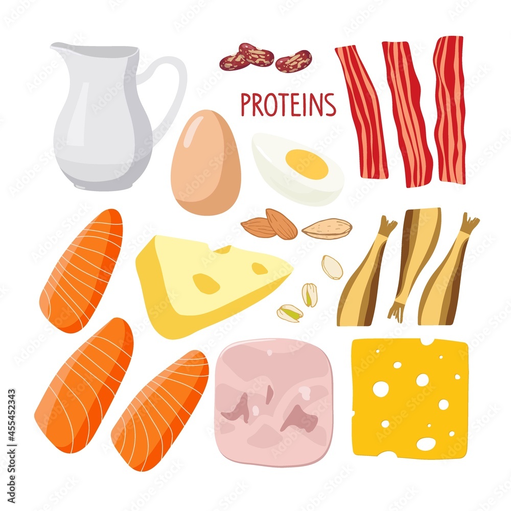 Food macronutrients. Rich in protein food set. High proteins food for