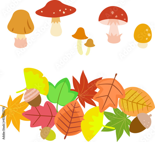 紅葉した落ち葉とキノコ