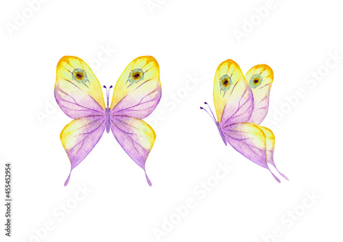 Watercolor botanical summer...